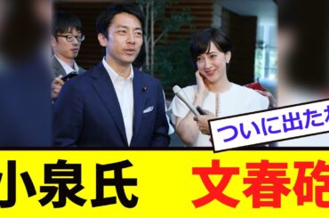【緊急】小泉氏、「文春砲」を食らう！！！