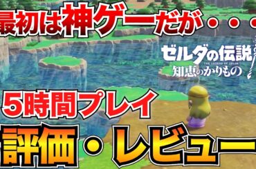 【ゼルダ知恵のかりもの】評価・レビュー｜斬新なシステムの感動体験と自由度が凄まじい！が...【シリーズファンじゃない人の感想】【ゼルダの伝説】