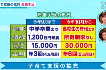 子育て支援の拡充 クリックニッポン 2024年8月18日放送分【公式】