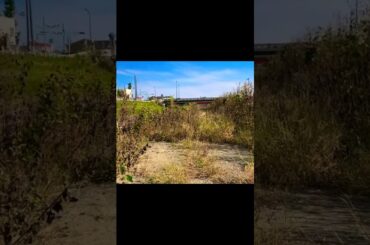 ⑨ 【台風7号直撃・浅川沿い注意】刑場の心霊スポット「大和田刑場跡」＋「大和田橋」【お盆Uターン、交通機関に影響】【熱中症、新型コロナ、変異株KP.3、ゲリラ豪雨、地震注意】（東京都 八王子市）