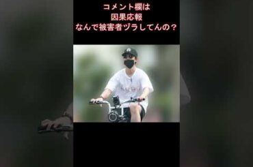 てんちむ　損害賠償請求5億円の見込み　第一子の100日を祝いながら「悔しい」と号泣　コメント欄炎上　#てんちむ #裁判 #shorts #ひろゆき #ヒカル