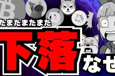 【💀ビットコイン下落】理由は何？今後上がるの？／急上昇コインは〇〇／ミームコインも苦しい。でもPOPCATだけ上がってる！ドージコイン・柴犬本気出してー！！