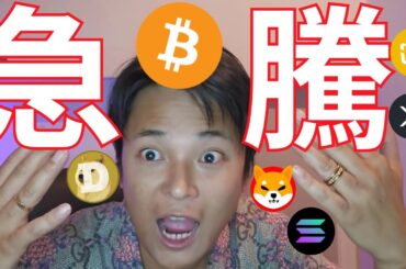ビットコイン急騰、アルトコインバブルも間近か【仮想通貨 暗号資産 暗号通貨】