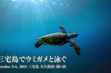 三宅島でウミガメと泳ぐ October 5-6, 2024, 三宅島 大久保浜・錆ヶ浜