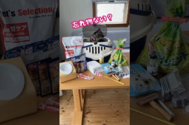 用意しておきたい猫の防災グッズ 　 #cat #にゃんハウス #猫のいる暮らし #防災