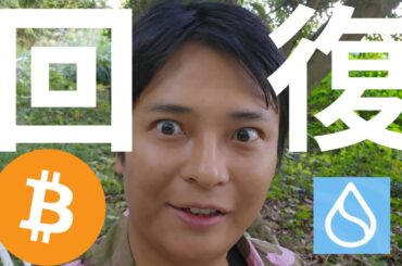 ビットコイン強気相場に回復、SUI(スイ)が最高値更新【仮想通貨 暗号資産 暗号通貨】