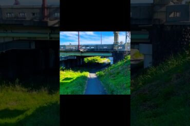 ③ 【台風7号直撃・浅川沿い注意】刑場の心霊スポット「大和田刑場跡」＋「大和田橋」【お盆Uターン、交通機関に影響】【熱中症、新型コロナ、変異株KP.3、ゲリラ豪雨、地震注意】（東京都 八王子市）