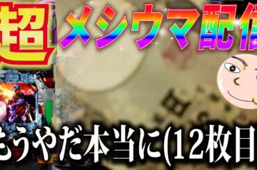 【エヴァ15】投資１２万円です。助けてください。【エヴァンゲリオン未来への咆哮】