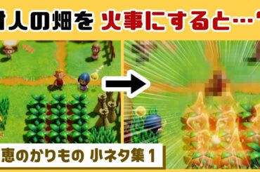 【ゼルダ知恵かり】村人の畑を火事にしてしまうと…まさかの反応が…！？ゲームに隠れた細かすぎる小ネタ集【ゼルダの伝説 知恵のかりもの】@レウンGameTV