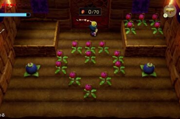 マンゴー狩り最高のタネ攻略(装備無し) | ゼルダの伝説 知恵のかりもの攻略