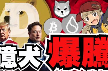 【🔥ドージ爆上げ】仮想通貨上昇！ビットコイン6.8万ドルへ／大統領選がカギ？トランプ優勢で爆上げか／ミームコイン急上昇！柴犬・BONKの犬系にバブルの波が。。