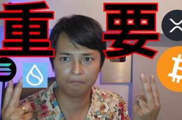 ビットコイン『重要ポイント』到達、クジラの大量購入はバブル前兆？【仮想通貨 暗号資産 暗号通貨 BTC アルトコイン】