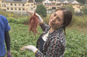 ＫＣＮ情報発信スタジオ　Ｋスタ！（2024/10/15)