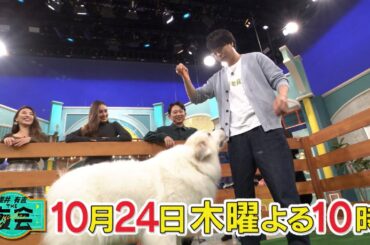 ペットは家族！愛もお金も注ぎまくる！ペットファーストな人たちが登場！