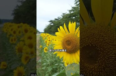 神奈川県警の不祥事再燃？緒方法親氏の精神病院送り事件を徹底解説