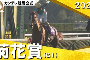 「最後の一冠！アーバンシック！」2024年 菊花賞(ＧⅠ) 実況：川島壮雄【カンテレ公式】