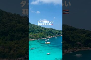 【タイ旅行】今しか行けない、幻のシミラン諸島へ！プーケットから日帰りツアー🌴 #タイ #タイ旅行 #プーケット