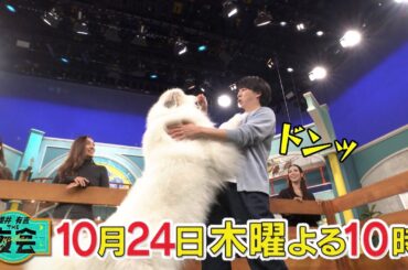 櫻井翔にはわからない！？ペットファーストな人たちの夜会🐶🐱