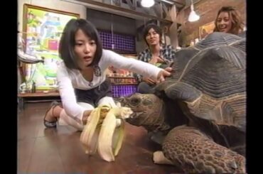 志田未来さん15歳「おしゃれイズム」
