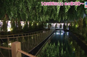 ロコレコ！は大友花恋！ゲストの旅は松下由樹！「旅サラダ」10月26日（土）放送