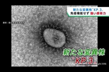 新型コロナの感染者数が増加「新たな変異株ＫＰ．３で第１１波」専門家