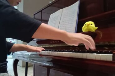 メインテーマ・オブ・華麗なる一族/華麗なる一族/服部隆之『センター南駅ステーション・ピアノ/Cennan Piano/セン南ピアノ』ストリート・ピアノ/2024年10月23日水曜日【ぴよぴよのおはな