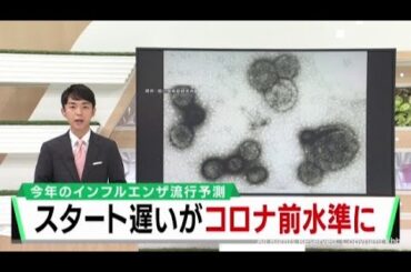 インフルエンザ流行開始遅いものの感染者数はコロナ前の水準に戻る　専門家