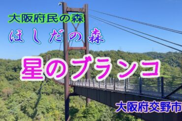 星のブランコ　ほしだの森　ファミリー向けハイキング