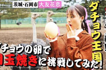 【大友花恋in茨城・石岡市】ダチョウ王国でワイルドなグルメ⁉〈ロコレコ！〉