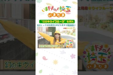 【予告】#キウイ #上尾串ぎょうざ #才木玲佳 #上尾市 #キウイフルーツ #幻のフルーツ #松井咲子 #アンゴラ村長 #いまたま #埼玉県 #埼玉 #shorts