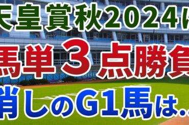 天皇賞秋2024 追い切り後【買いの1頭】公開！実績最重要でも大半のG１馬は用無し！リバティアイランド以外から馬単３点勝負！