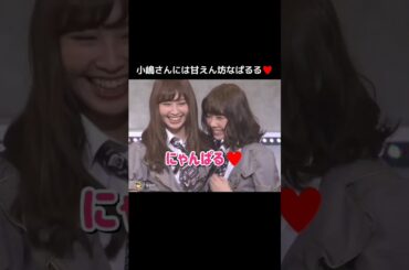 【小嶋さんに甘えるぱるる】にゃんぱる♥️ 【ぱるる部分のみ】 #島崎遥香 #ぱるる #AKB48 #小嶋陽菜 #Shorts