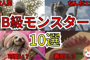 【映画紹介】B級映画のモンスター10選【ゆっくり解説】【ホラー映画】