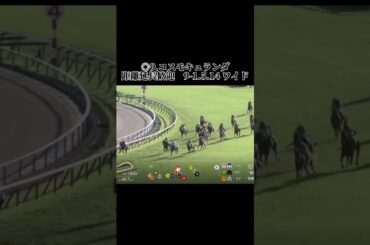 菊花賞の結果です！さあ後ろでペースも #競馬 #競馬結果 #京都競馬 #菊花賞