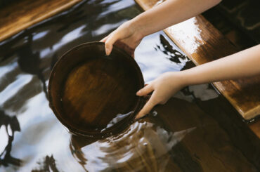 SAYAPAKU4760_TP_V4 (1)