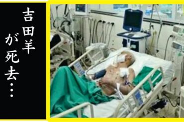 吉田羊が整形失敗で“顔面崩壊”した現在の姿に一同驚愕…！吉田羊が極秘妊娠や発覚した出産時期に驚きを隠せない....