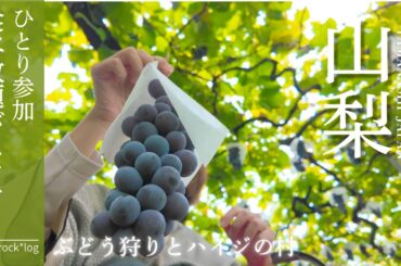 【はとバスツアーに1人参加】快適バスの旅で山梨のグルメとハイジの世界をお得に満喫！
