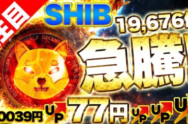 【仮想通貨シバコイン】来るぞ！シバコイン1,967,629％、19,676倍急騰！海外有名投資家が大胆予想！