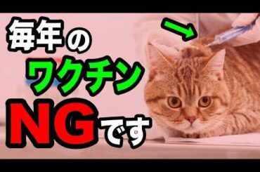 猫に毎年ワクチンを打ってはいけない理由を獣医師が解説します