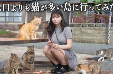 人口より猫が多い猫島に行ったら、想像以上に猫まみれだった...