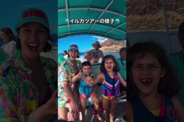 オアフ島イルカツアーの様子🐬