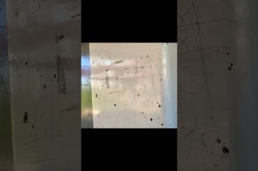 浅川高架下の人、コロナウイルスへの意見【台風10号直撃・浅川沿い注意】【史上最強クラス・交通機関に影響】【熱中症、新型コロナ、変異株KP.3、ゲリラ豪雨、地震注意】（東京都 八王子市）