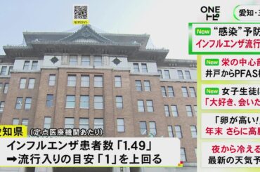 さらなる感染拡大の恐れも…愛知県でインフルエンザが流行入り 11/11-17の1週間で患者数が目安上回る
