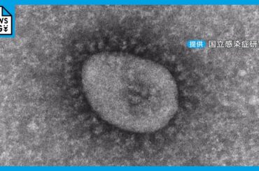 「喉がすごく痛くて…」“風邪症候群”が増加 新型コロナ陽性の患者も  免疫力下がる冬 インフルエンザにも要注意