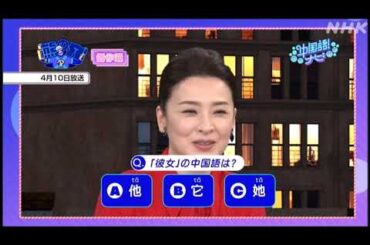 2024 10 30 中国語！ナビ  名場面＆総集編ＳＰ／檀れい・熊クイズの成績は？