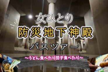 【ひとり日帰りバスツアー】社会見学！地下神殿で大都市の防災システムを学んできた！