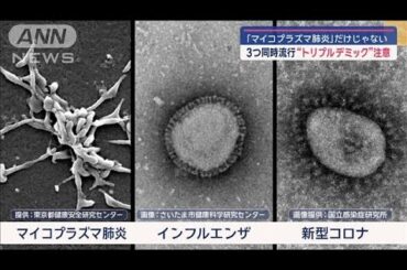 「マイコプラズマ肺炎」だけじゃない　3つ同時流行“トリプルデミック”注意【スーパーJチャンネル】(2024年11月12日)