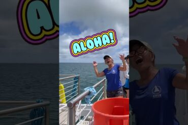 注意点あり！ハワイNo1アクティビティのサンドバーツアー！