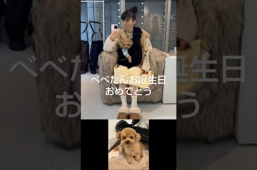 2024年11月21日 Perfume X投稿＆あ～ちゃんインスタグラム投稿～べべたんお誕生日おめでとう
