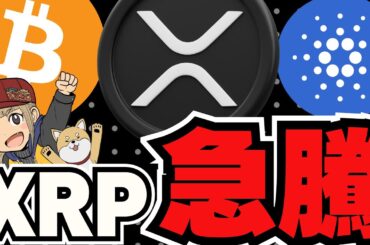 【🔥XRP急騰】ビットコイン過去最高また更新！次に上がるのは？／完全に仮想通貨バブル！今、アルトコインが熱い／ドージコインがイーロンのおかげでまた急騰？